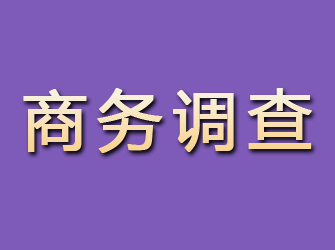 隆阳商务调查