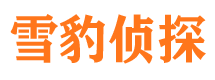 隆阳找人公司